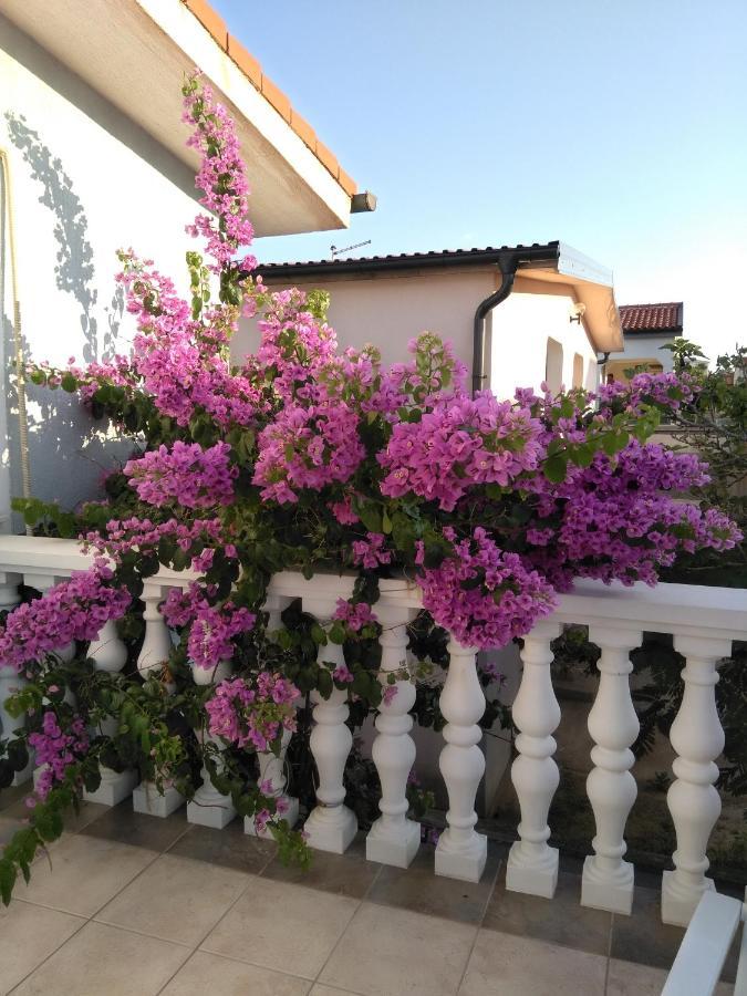 Apartmani Korade Vir Exterior photo
